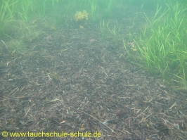 Brunsnaestour 10.-13.06.2011