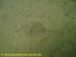 Brunsnaestour 10.-13.06.2011